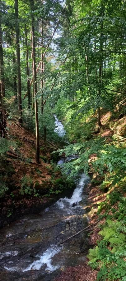 Vila Prazdninovy Dum Za Stodolou Česká Ves Exteriér fotografie